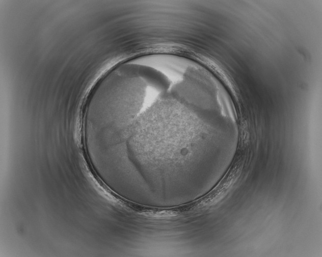 X0000112960851200909241158