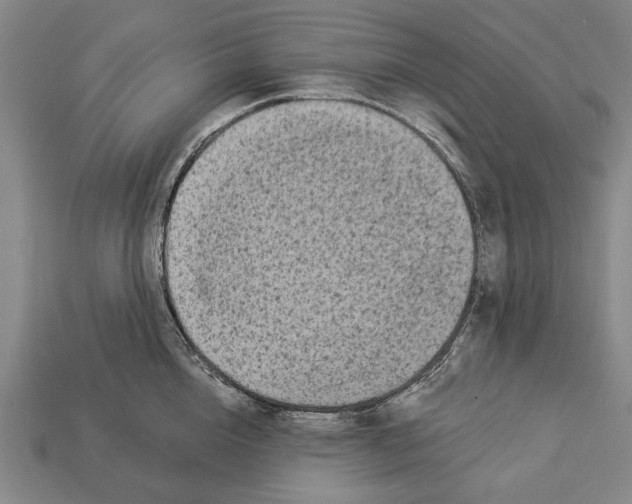 X0000112960856200909241158