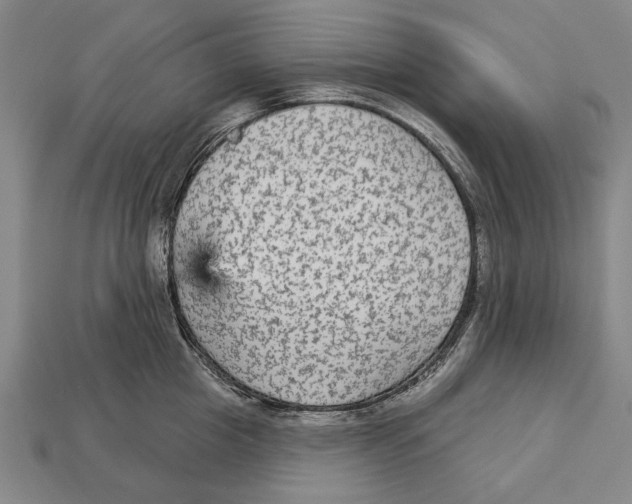 X0000112960857200909241158