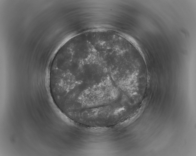 X0000112960859200909241158