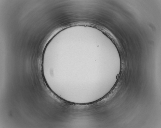 X0000112960860200909241158