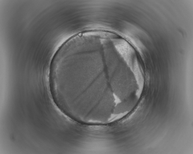 X0000112960863200909241158