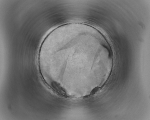 X0000112960864200909241158