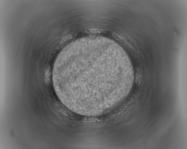 X0000112960866200909241158