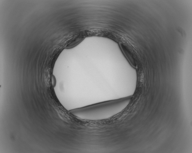 X0000112960868200909241158