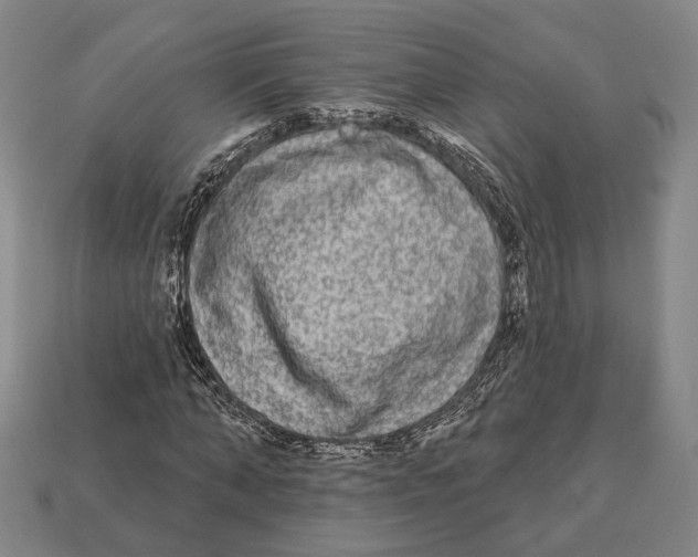 X0000112960870200909241158