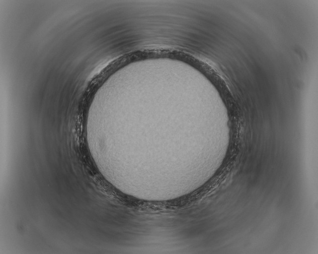 X0000112960871200909241158