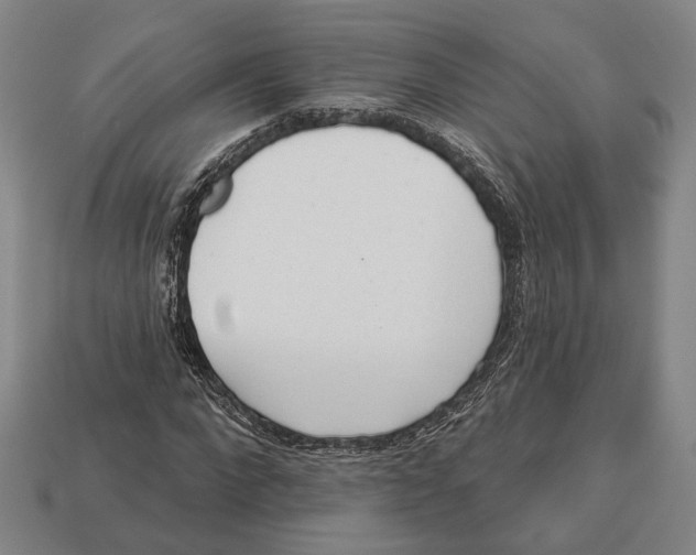 X0000112960872200909241158