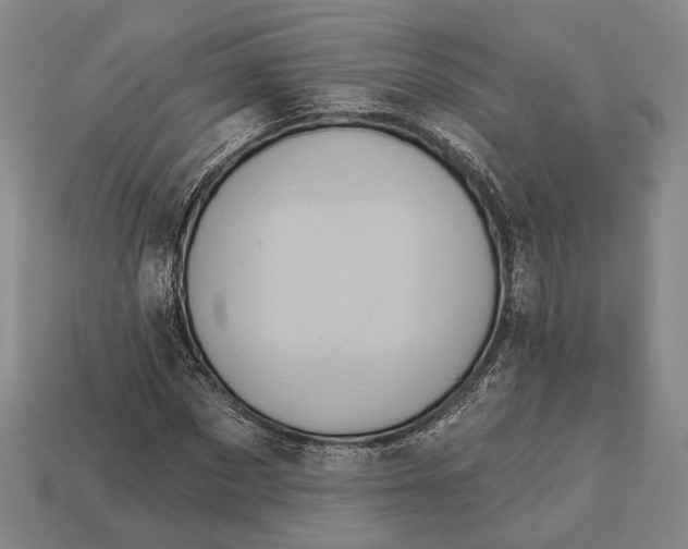 X0000112960873200909241157