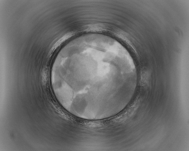 X0000112960874200909241157