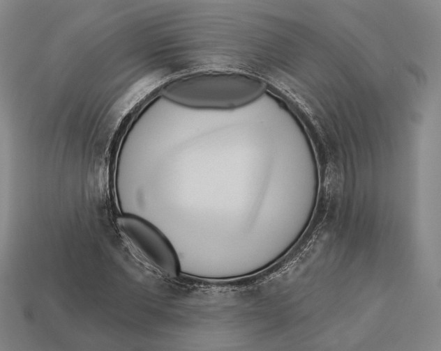 X0000112960877200909241157