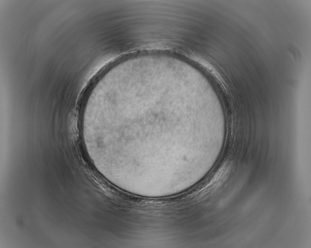 X0000112960878200909241157