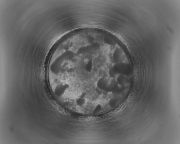 X0000112960879200909241157