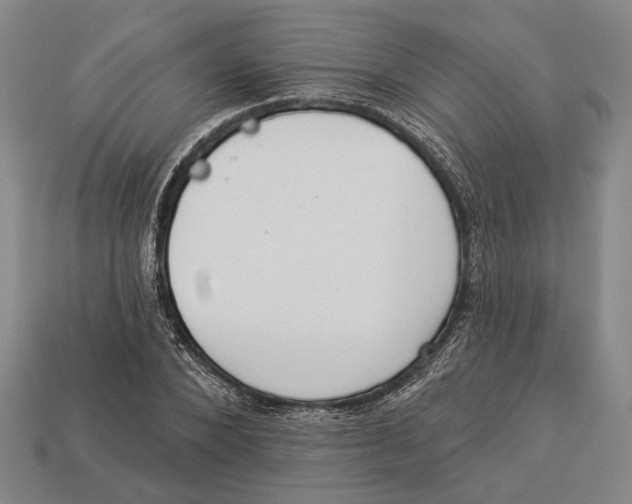 X0000112960880200909241157