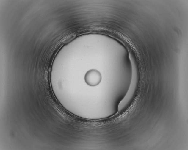 X0000112960881200909241157