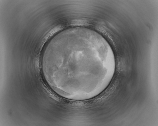 X0000112960882200909241157