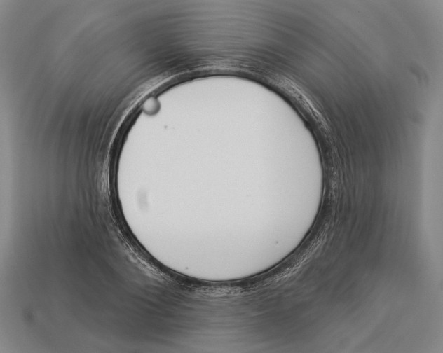 X0000112960884200909241157