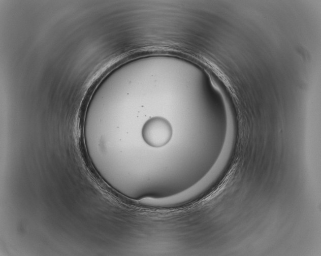 X0000112960885200909241157