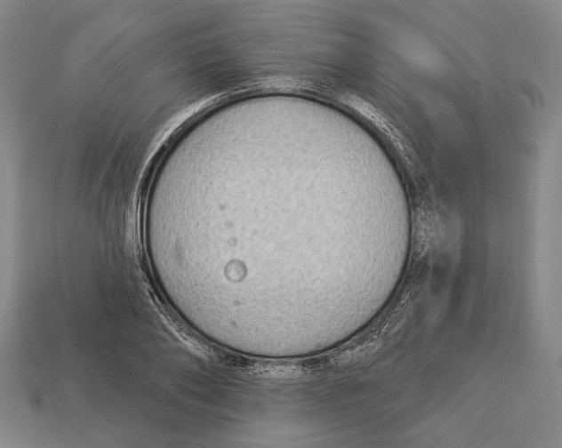 X0000112960886200909241157