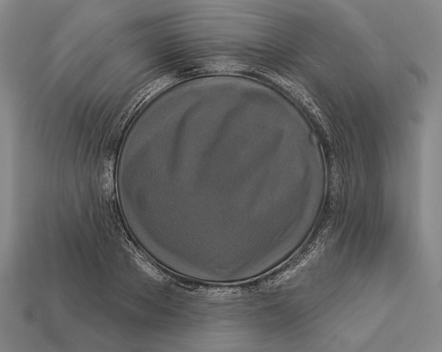 X0000112960889200909241157