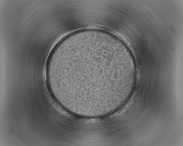 X0000112960891200909241157