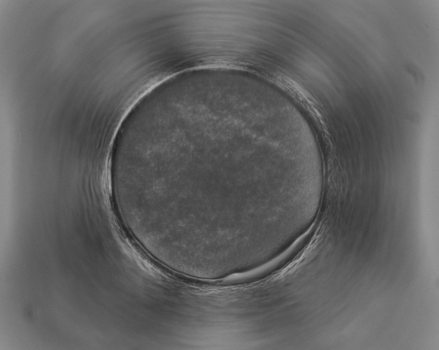 X0000112960892200909241157