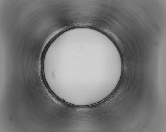 X0000112960894200909241157