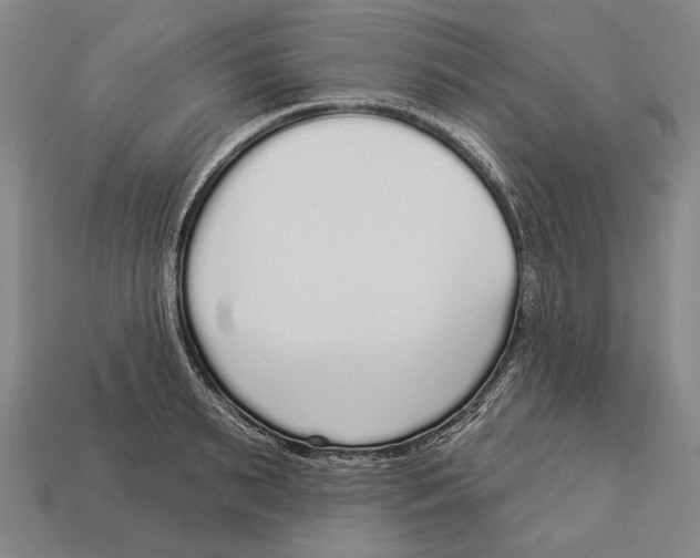 X0000112960895200909241157