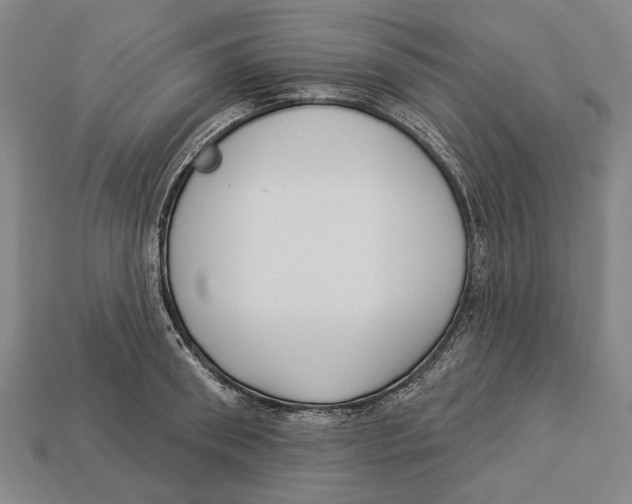 X0000112960898200909241157