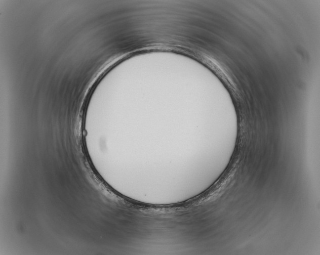 X0000112960900200909241157