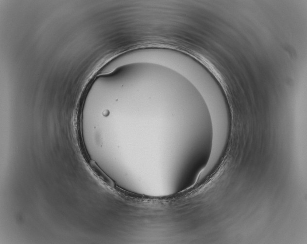 X0000112960901200909241157