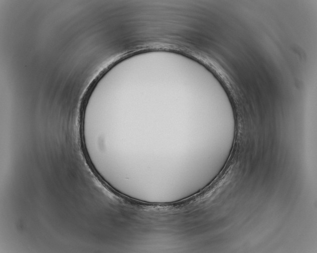 X0000112960902200909241157