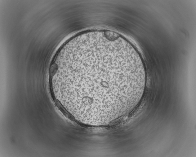 X0000112960903200909241157