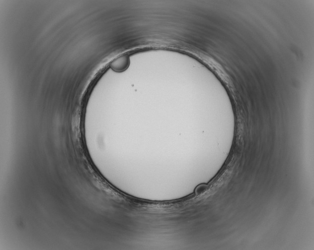 X0000112960904200909241157