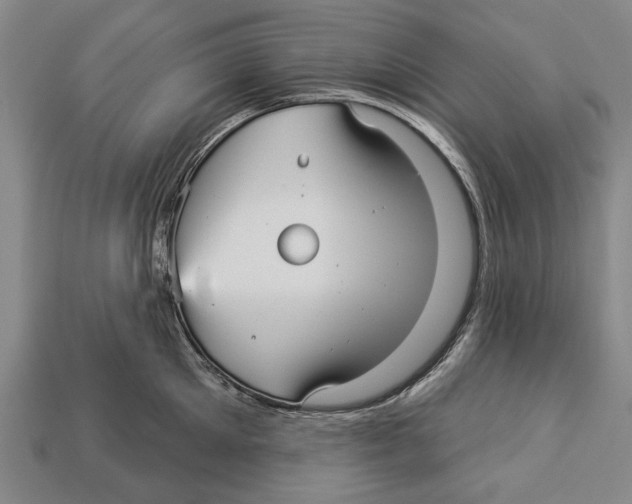 X0000112960905200909241157