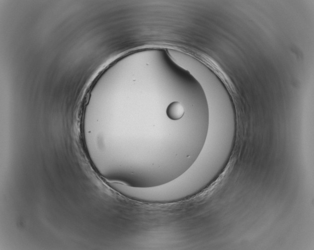 X0000112960908200909241157