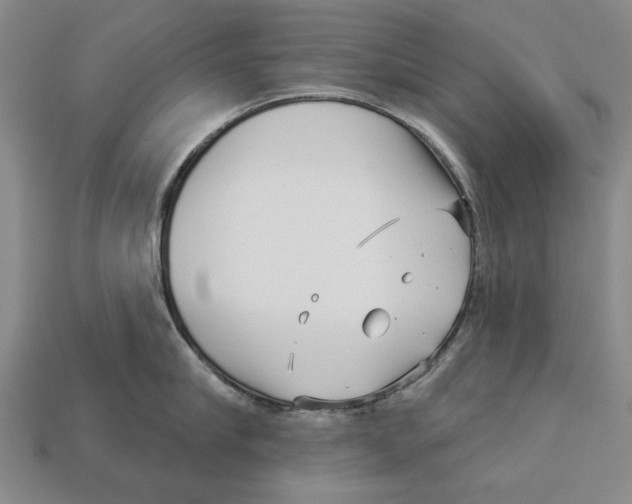 X0000112960910200909241157