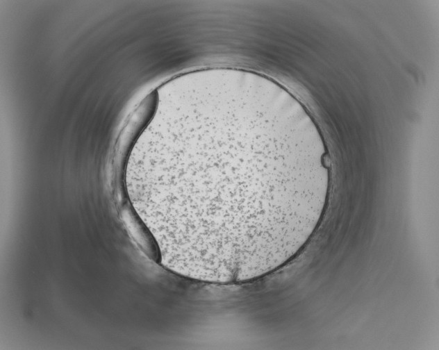 X0000112960912200909241157