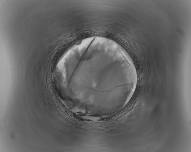 X0000112960913200909241156