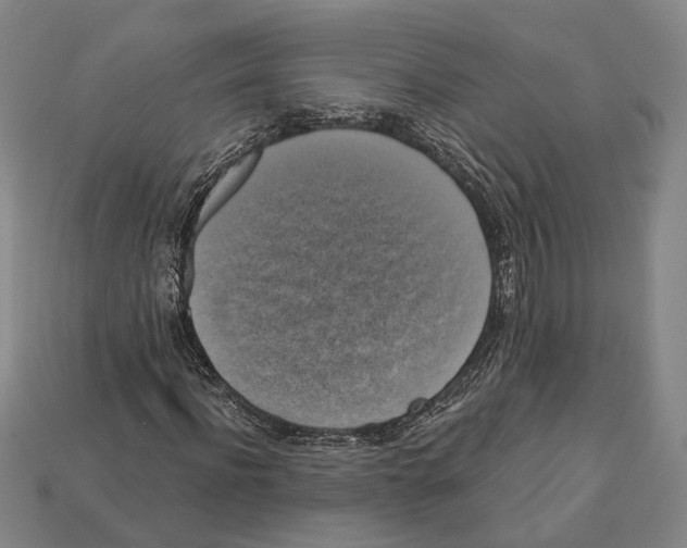 X0000112960916200909241156