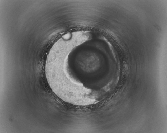 X0000112960918200909241156