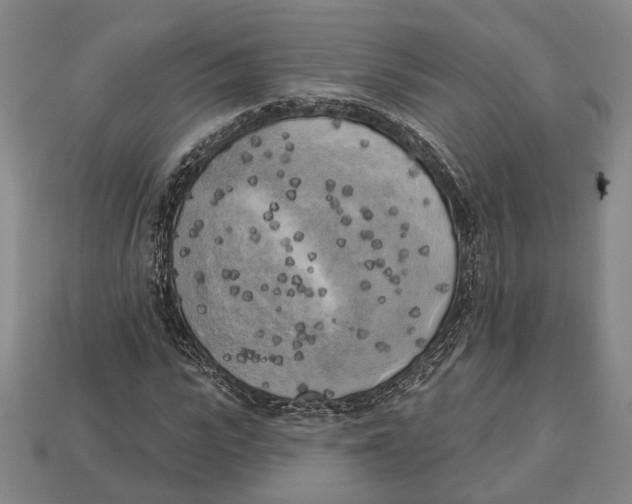X0000112960919200909241156