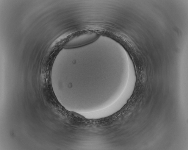 X0000112960920200909241156