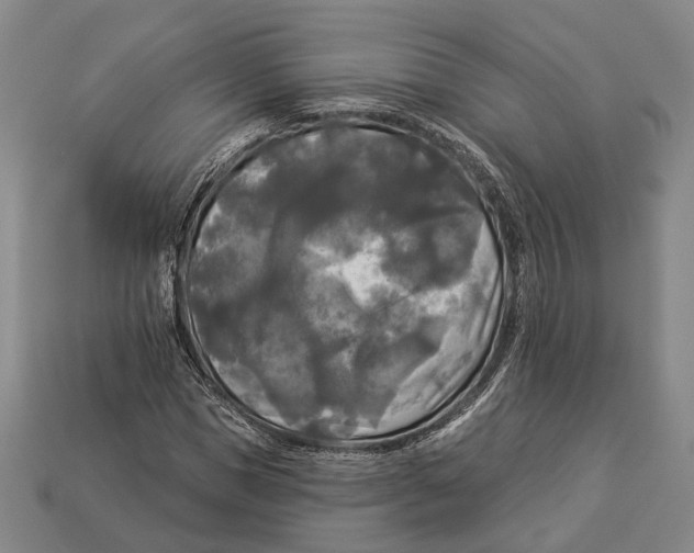 X0000112960921200909241156