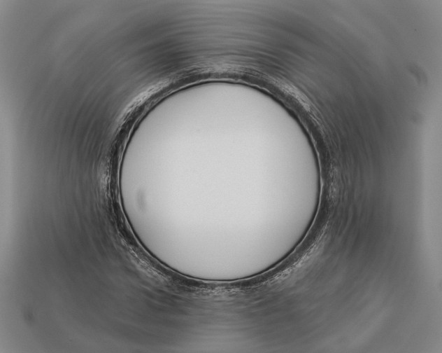 X0000112960922200909241157