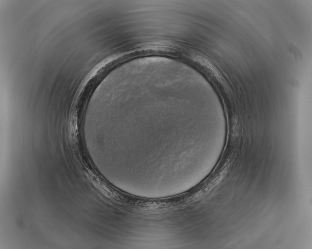 X0000112960923200909241157