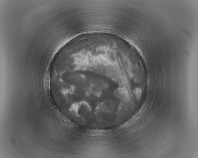 X0000112960925200909241157