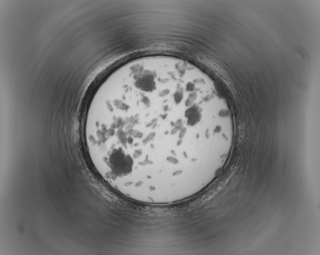 X0000112960928200909241157