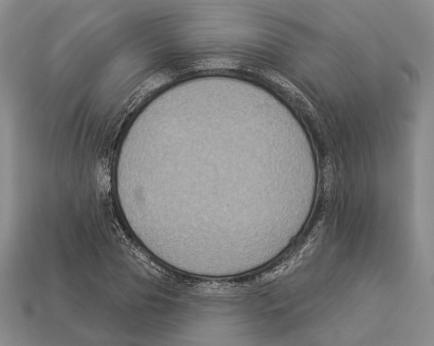 X0000112960929200909241157