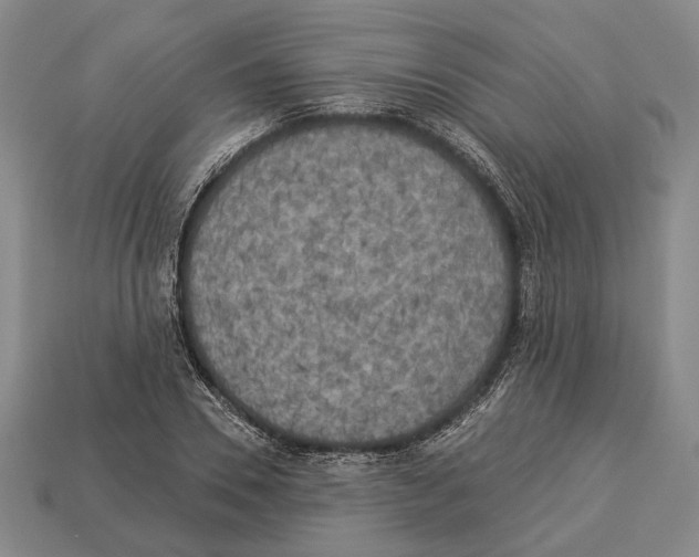 X0000112960930200909241157